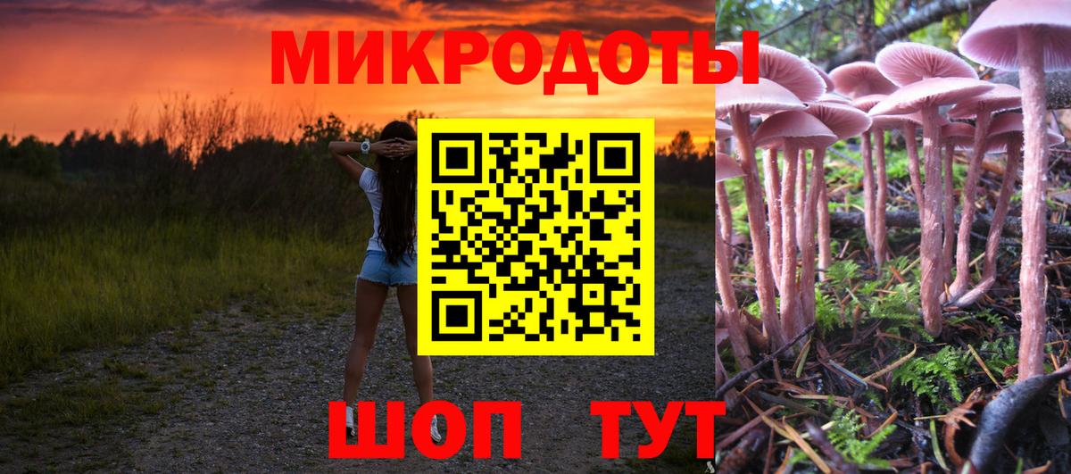 Псилоцибиновые грибы Magic Shrooms  Вход с VPN  Электрогорск 